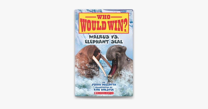 who would win walrus vs elephant seal who would win walrus vs elephant seal