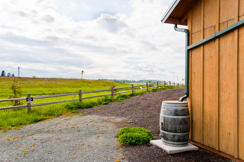 Rainwater harvesting