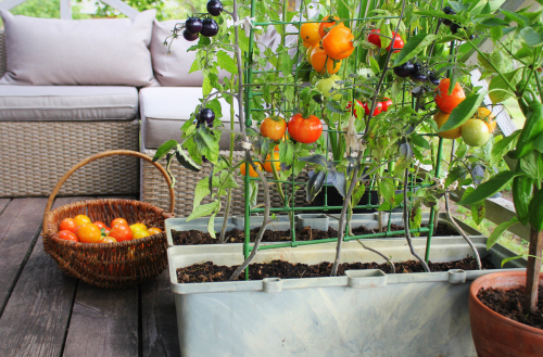 Balcony garden design ideas