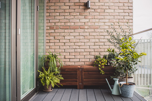 Small Balcony garden