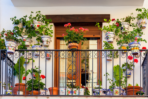 Balcony garden