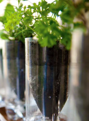 7 diy plastic bottle planters 6 1