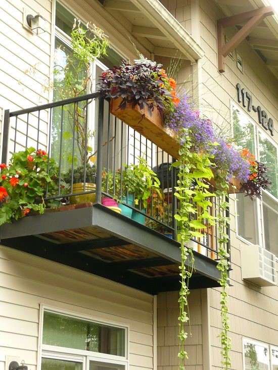 7 Vibrant designs for hanging plants for balconies