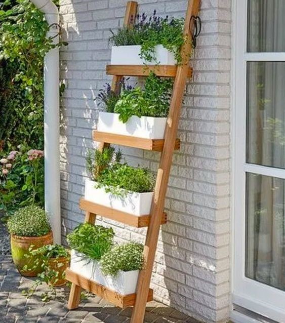 7 Vibrant designs for hanging plants for balconies