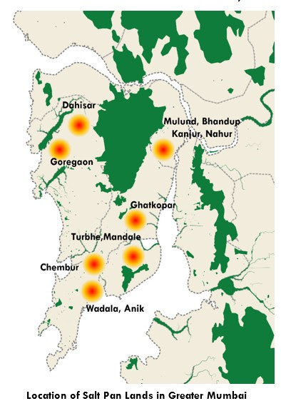 Allowing developers to construct on Mumbai's salt pan lands may do more harm than good