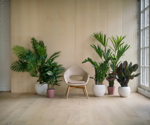 Indoor garden design