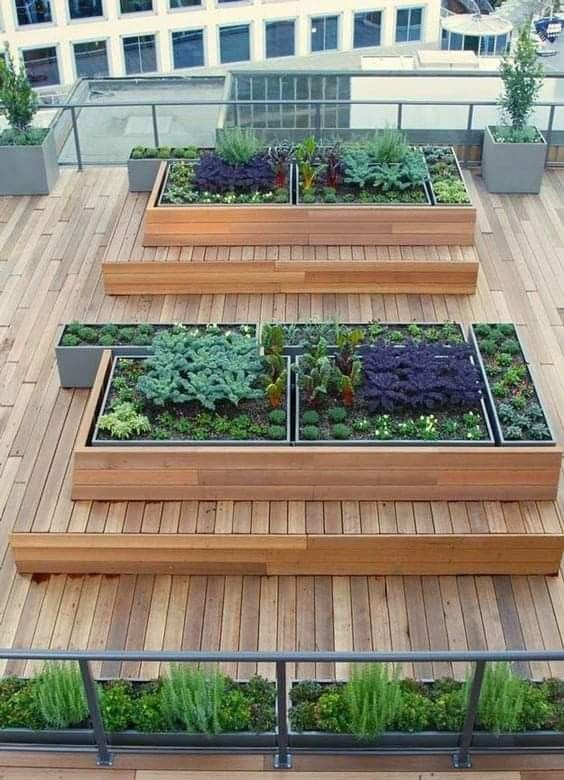 Rooftop garden design ideas