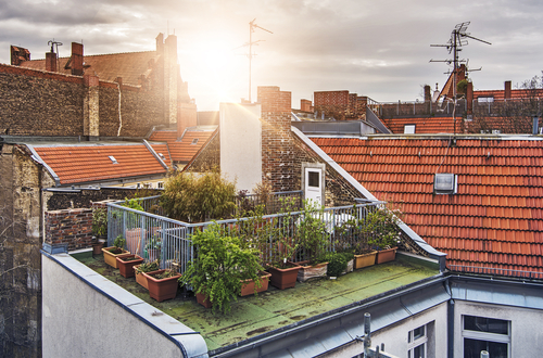 Rooftop garden design ideas