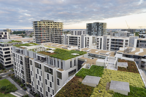 Rooftop garden design ideas