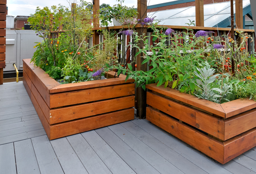 Rooftop garden design ideas