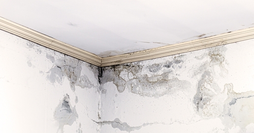 Seepage of water: How to prevent water seepage in walls