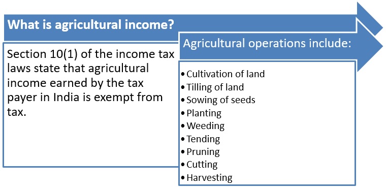 Taxation of income from agricultural land