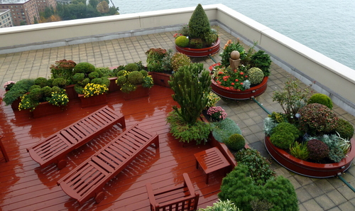 Terrace garden ideas