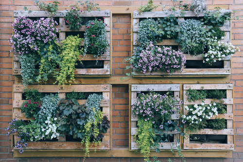 Vertical garden: 17 ways to have a green wall in your home