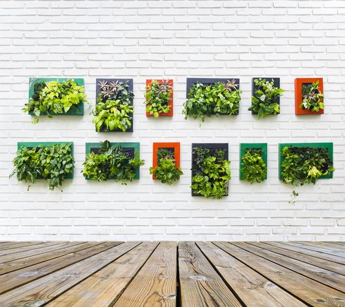 Vertical garden: 17 ways to have a green wall in your home