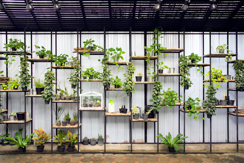 Vertical garden: 17 ways to have a green wall in your home