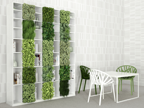 Vertical garden: 17 ways to have a green wall in your home