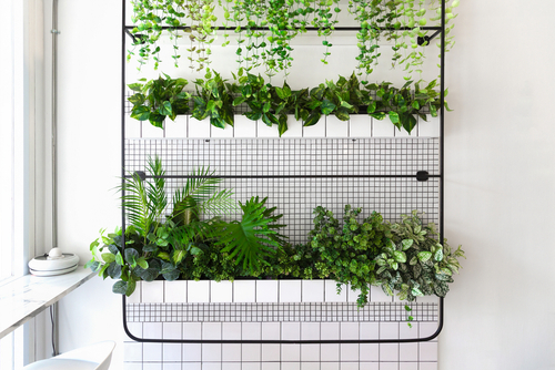 Vertical garden: 17 ways to have a green wall in your home