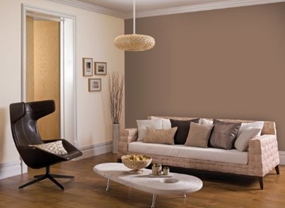 10 unique wall paint colour combinations for modern homes