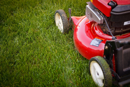 Gardening tools: Must-have tools for growing a home garden