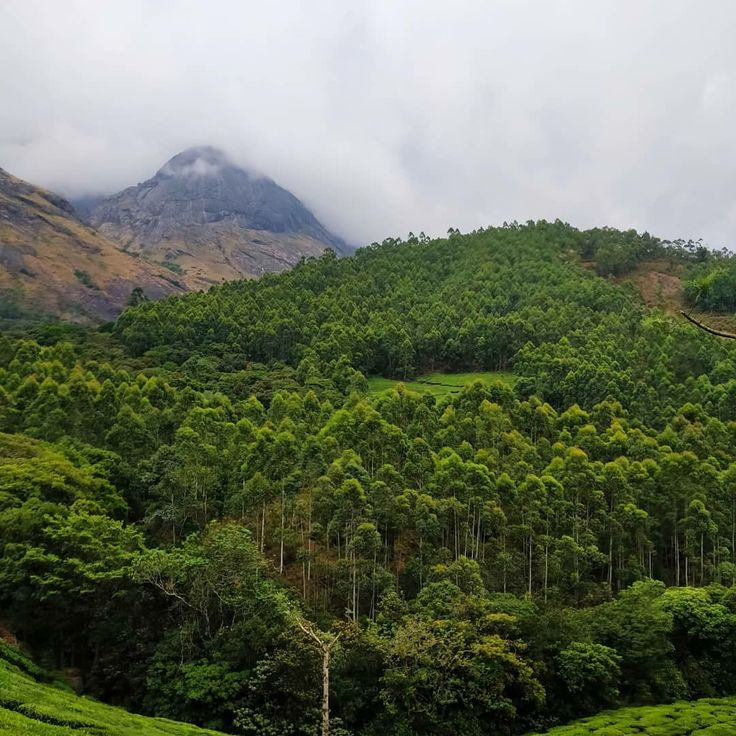 यात्रा करने के लिए 15 सर्वश्रेष्ठ मुन्नार स्थान